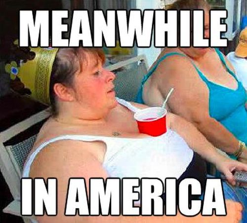 The Best of "Meanwhile, In America" (45 pics)