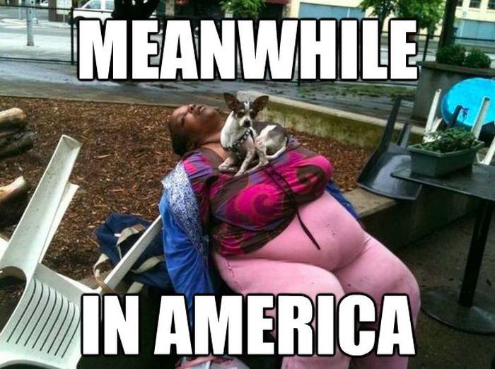 The Best of "Meanwhile, In America" (45 pics)