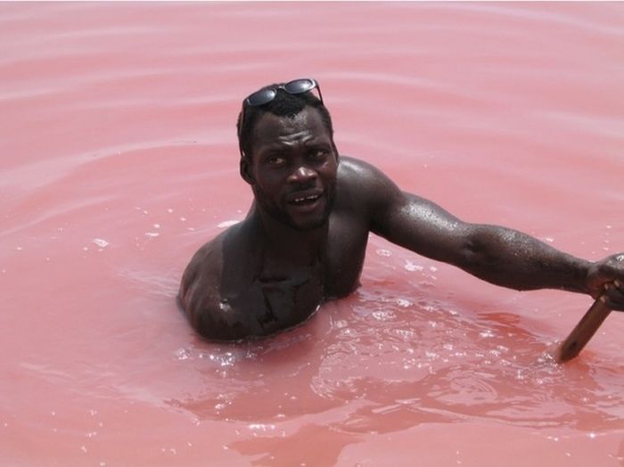 Lake Retba, Senegal's Pink Lake (7 pics)