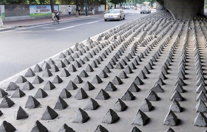 What These Things Are For? (4 pics)