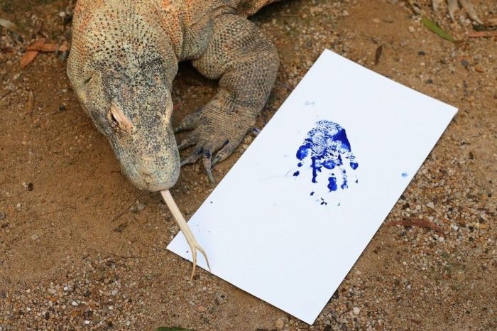 Animals Signing a Petition (9 pics)