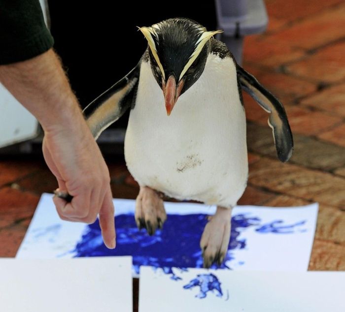 Animals Signing a Petition (9 pics)