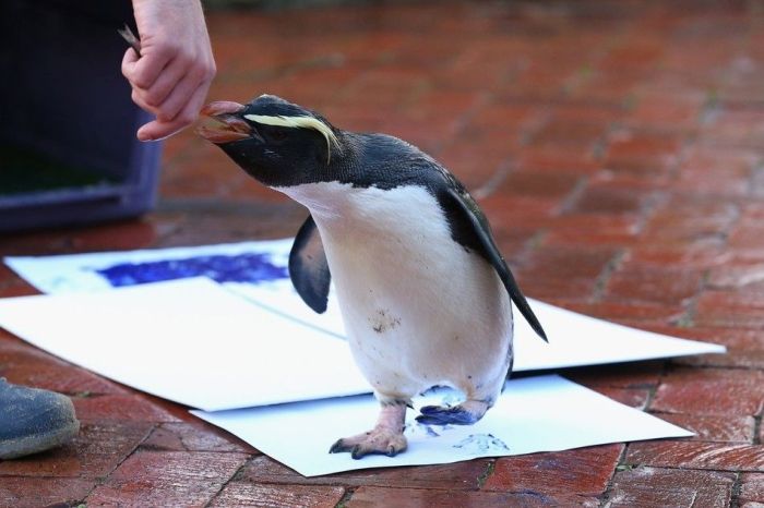 Animals Signing a Petition (9 pics)