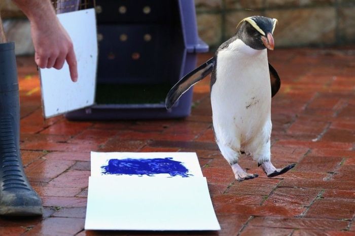Animals Signing a Petition (9 pics)