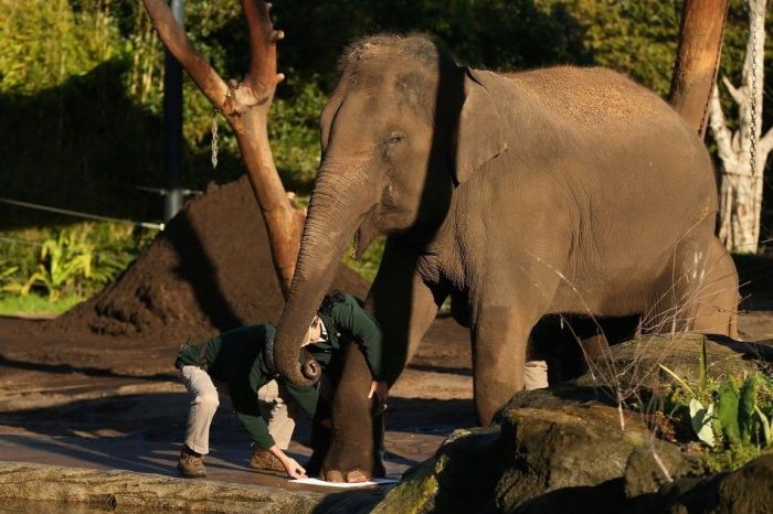 Animals Signing a Petition (9 pics)