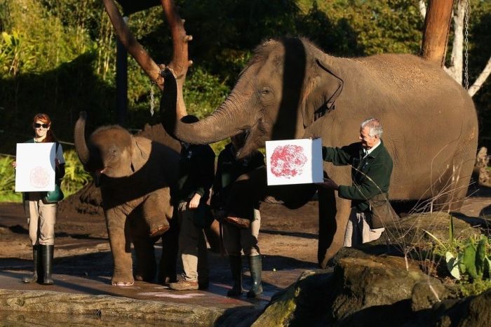Animals Signing a Petition (9 pics)