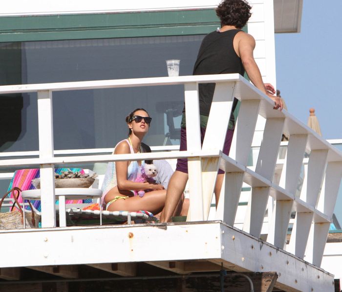 Alessandra Ambrosio Playing Volleyball (44 pics)