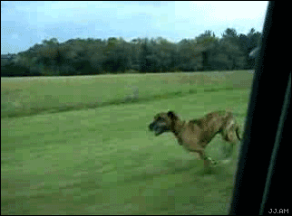 Acid Gifdump (15 gifs)