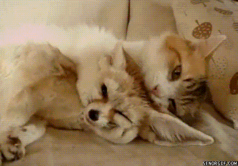 Acid Gifdump (15 gifs)