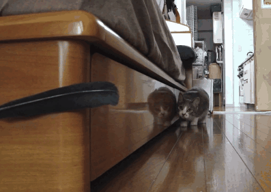 Acid Gifdump (15 gifs)