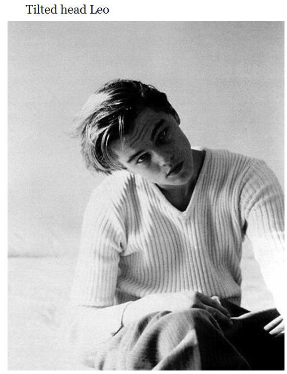 Different Types Of Leonardo DiCaprio (28 pics)