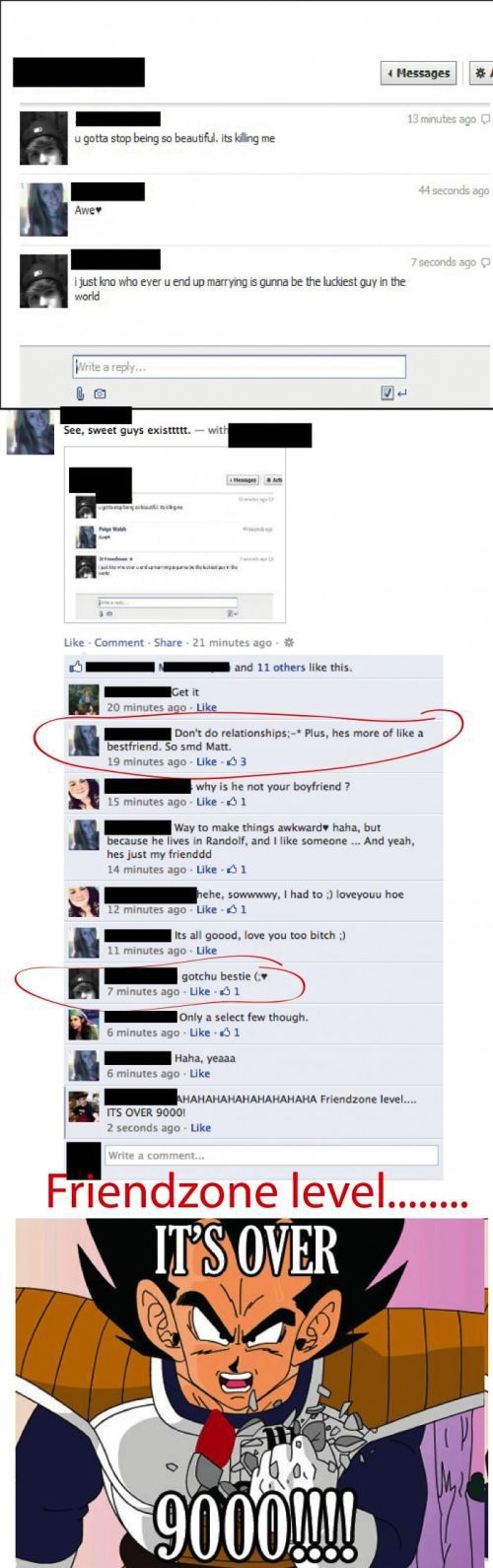 Welcome to the Friendzone (35 pics)