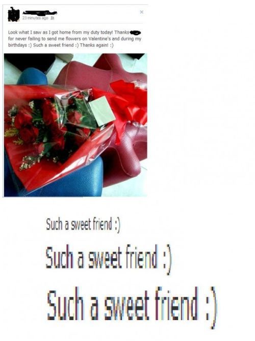 Welcome to the Friendzone (35 pics)