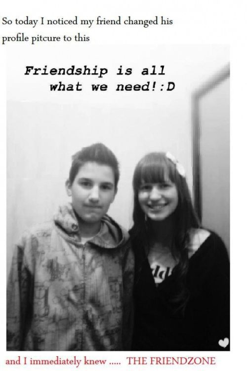 Welcome to the Friendzone (35 pics)