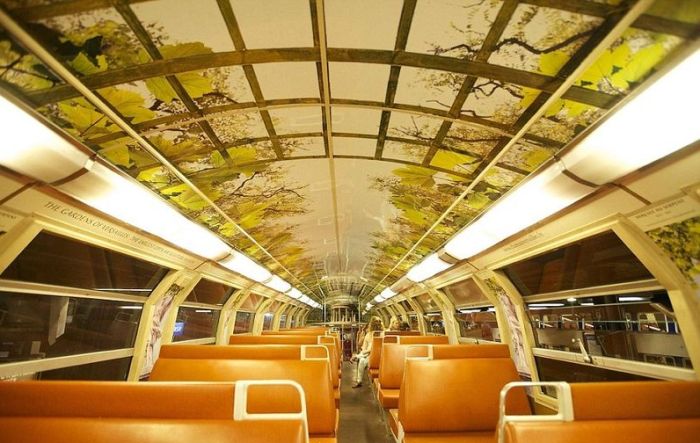 The Interior of Paris - Versailles Train  (14 pics)