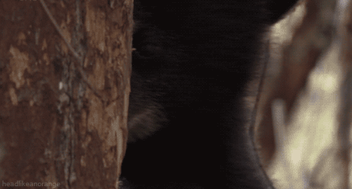 Acid Gifdump (15 gifs)