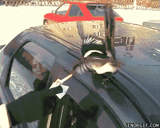 Acid Gifdump (15 gifs)