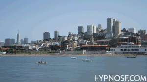 Zipping And Spinning Through San Francisco (14 gifs)