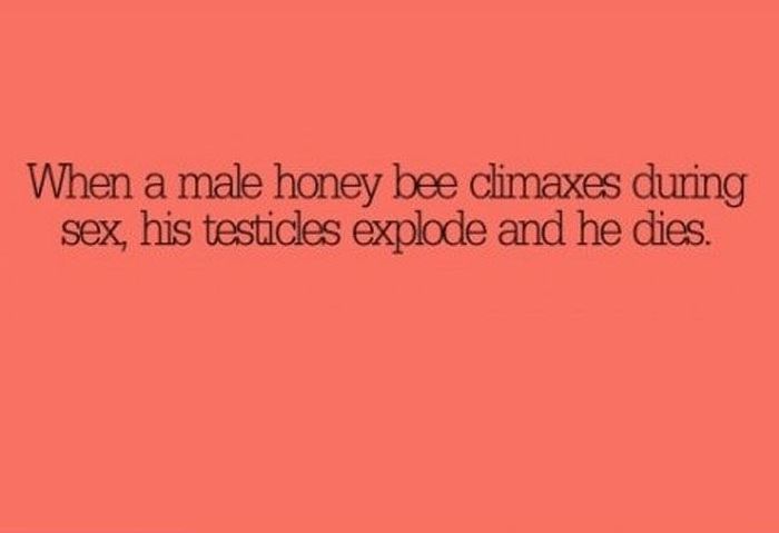 Would You Believe That? (11 pics)