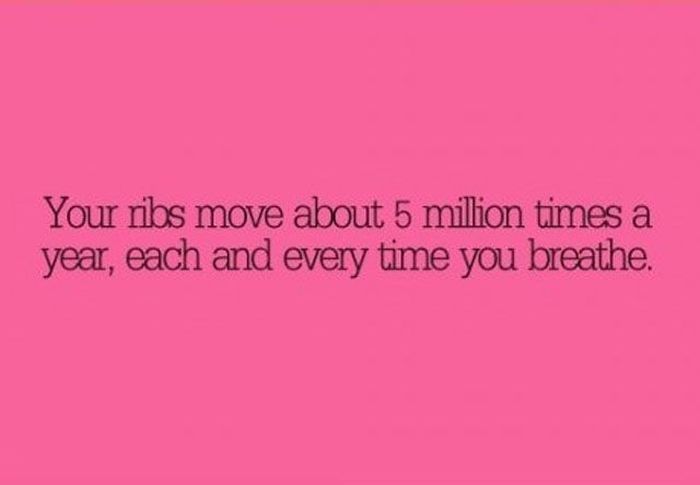 Would You Believe That? (11 pics)