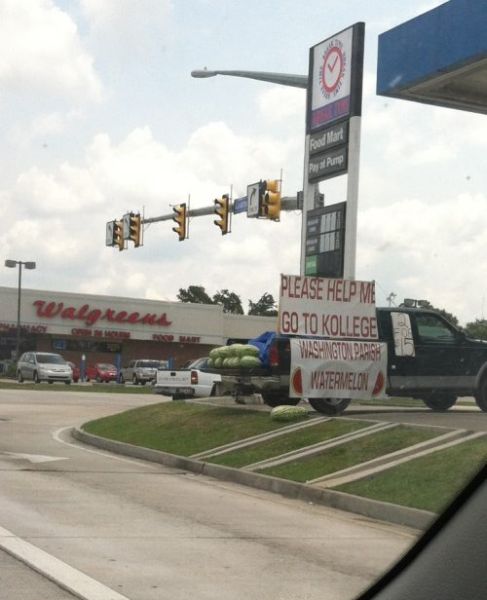 WTF Signs (35 pics)