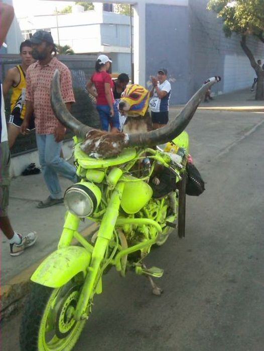 Only In Mexico (55 pics + 2 gifs)