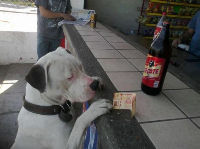 Only In Mexico (55 pics + 2 gifs)
