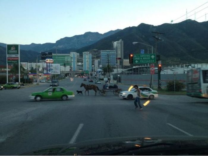 Only In Mexico (55 pics + 2 gifs)