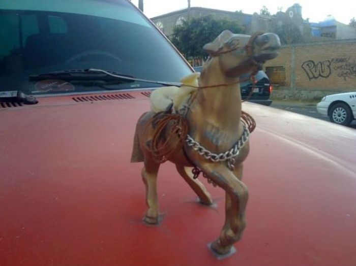 Only In Mexico (55 pics + 2 gifs)