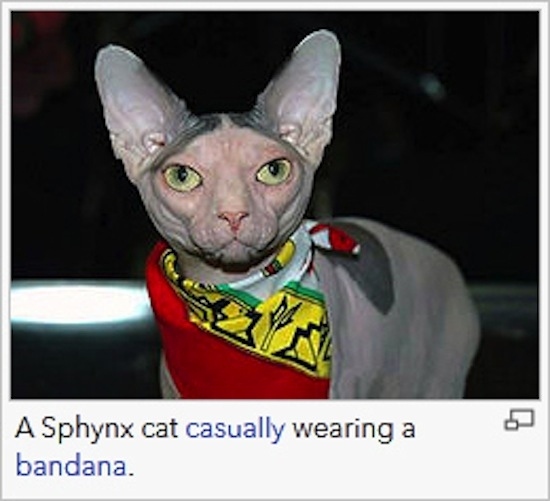 Ridiculous Wikipedia Picture Captions (24 pics)