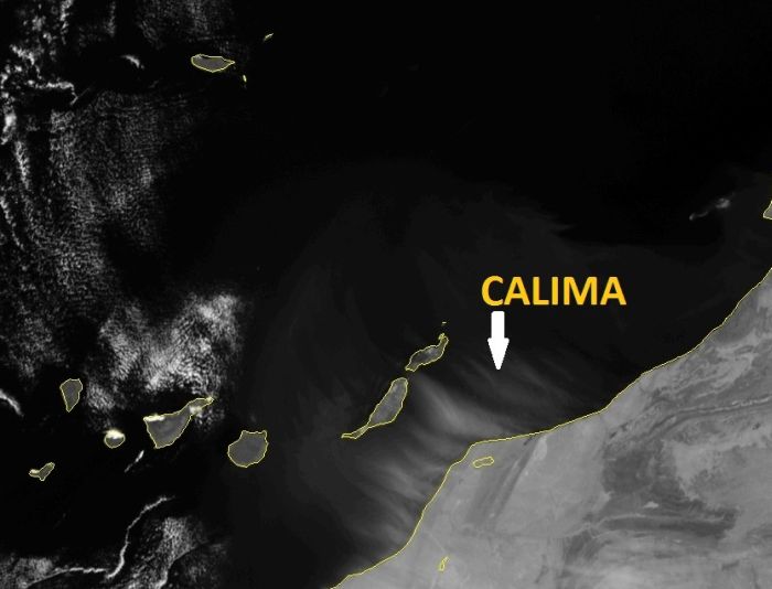 Calima (14 pics)