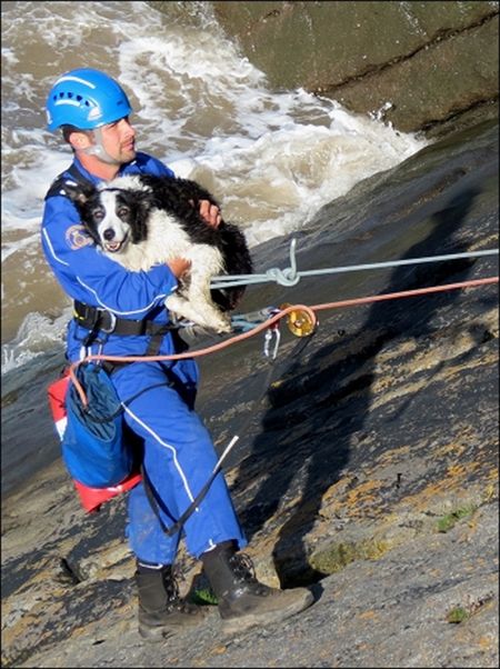 Coastguards Save Stranded Dog (7 pics)