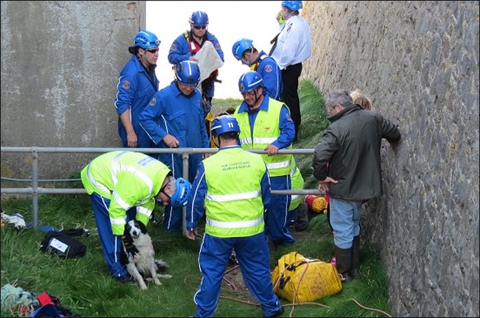 Coastguards Save Stranded Dog (7 pics)