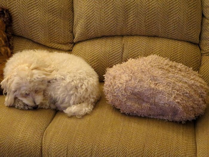 Acid Picdump (108 pics)