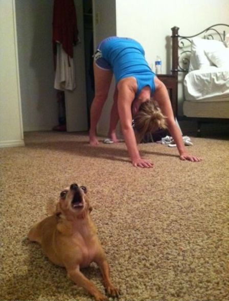 Acid Picdump (108 pics)