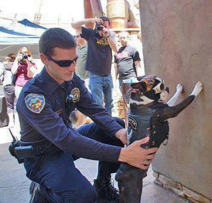 Acid Picdump (108 pics)