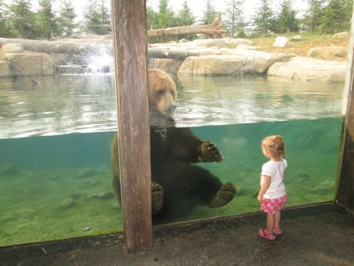 Acid Picdump (108 pics)