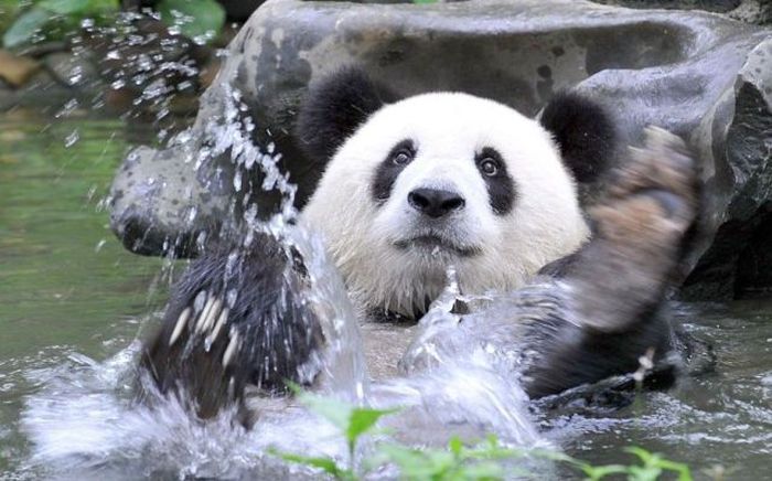 Acid Picdump (108 pics)