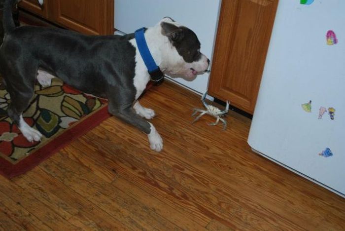 Acid Picdump (108 pics)