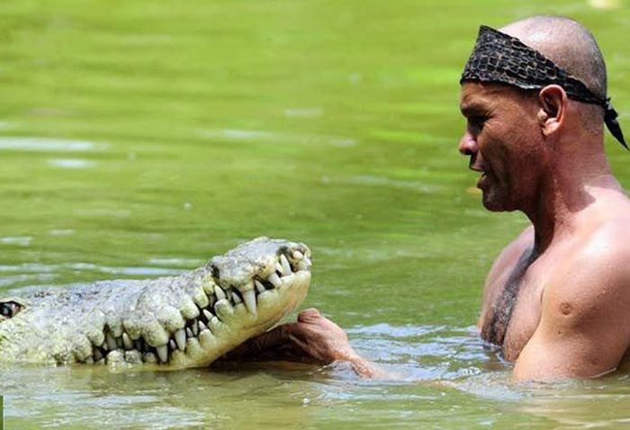 Pet Crocodile (5 pics)