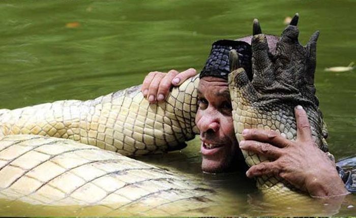 Pet Crocodile (5 pics)