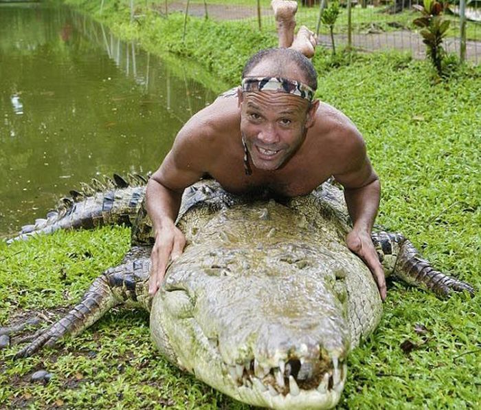 Pet Crocodile (5 pics)