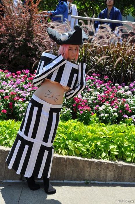 Costume Collection (96 pics)