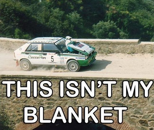 Best of the “This Isn’t My” Meme (16 pics)