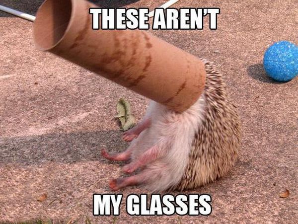 Best of the “This Isn’t My” Meme (16 pics)