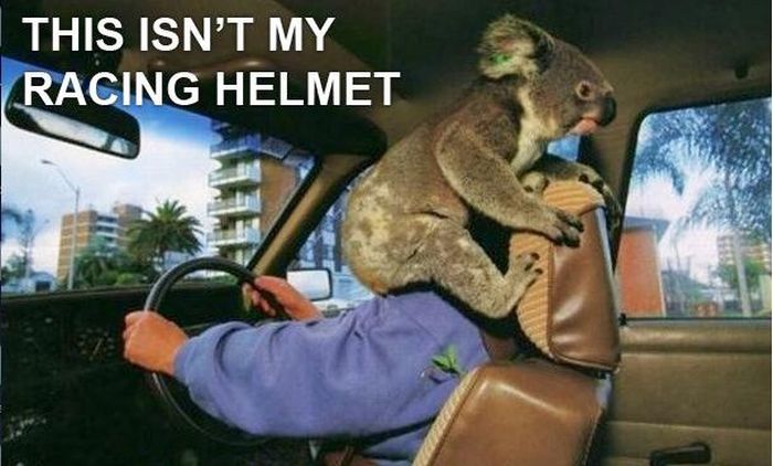 Best of the “This Isn’t My” Meme (16 pics)