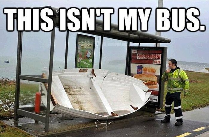 Best of the “This Isn’t My” Meme (16 pics)