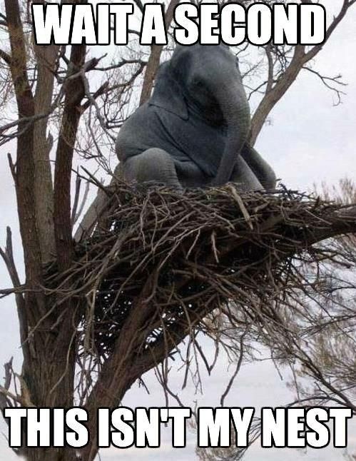 Best of the “This Isn’t My” Meme (16 pics)