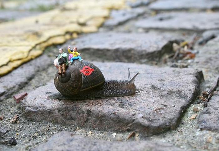 Acid Picdump (99 pics)