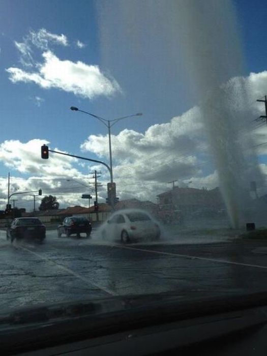 Acid Picdump (99 pics)